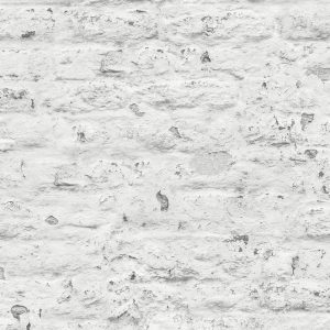 WPR PERSPECTIVE PP3101 HAL 27