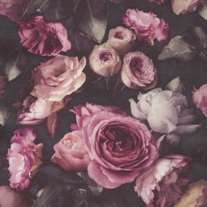 WPR OPUS OS3008 HAL 63