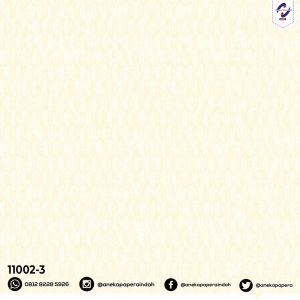 WPR MDRN2 11002-3 HAL 31