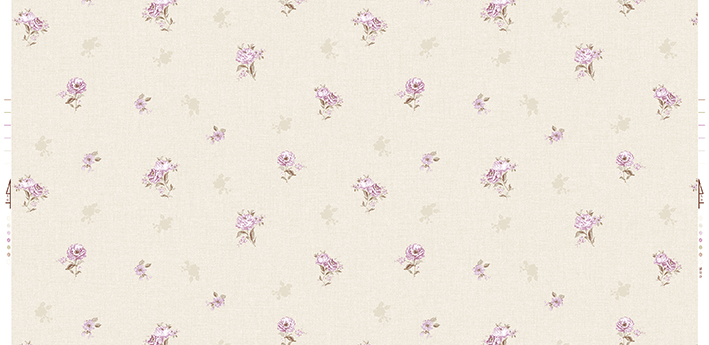 WPR BELLA 70018-3 HAL 40