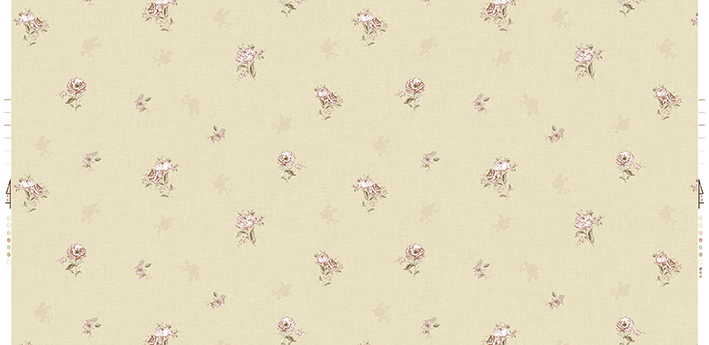 WPR BELLA 70018-4 HAL 37