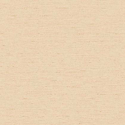 WP TIMELESS 81044-2 HAL 107