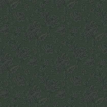 WP BONITO 81079-6 HAL 55