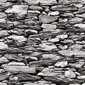 WPR ANAKIN A16015-2 HAL 81