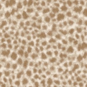 WPR AIDA 1018-2 HAL 77