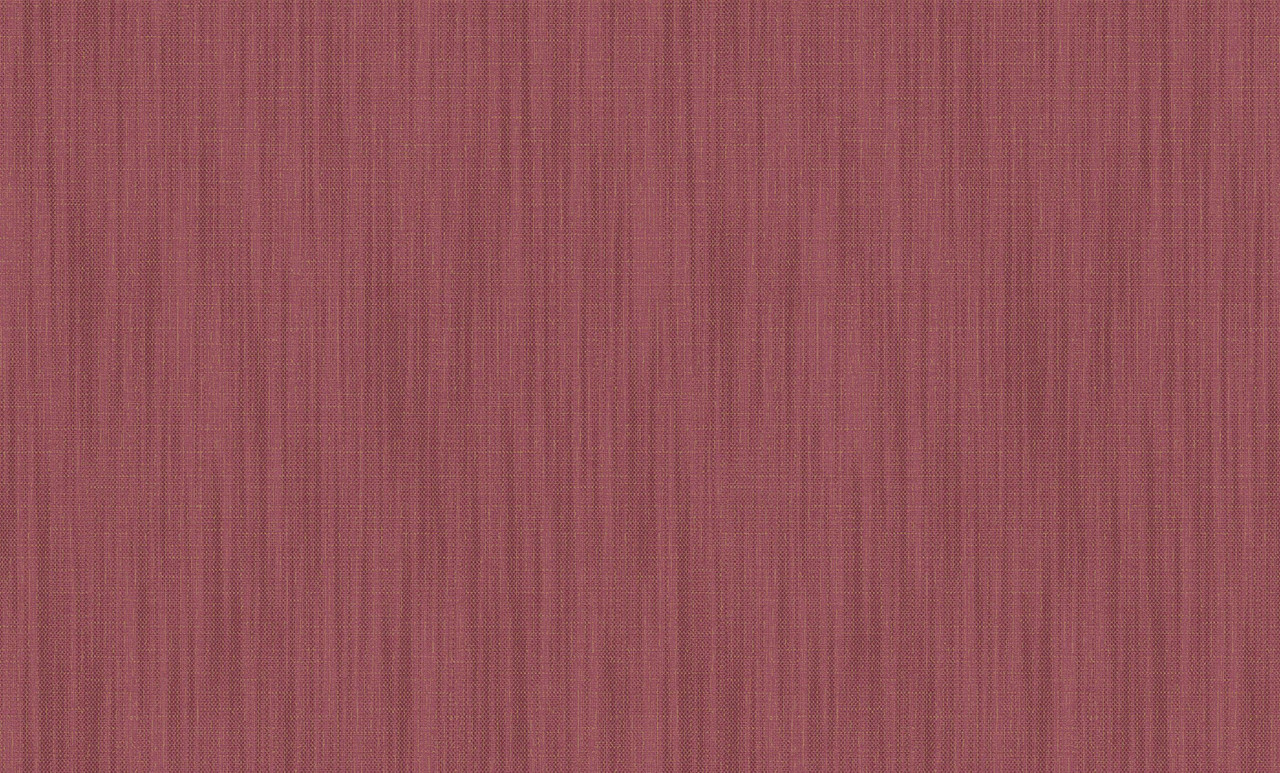 WPR TRIUMPH VOL4 YG30206 HAL58