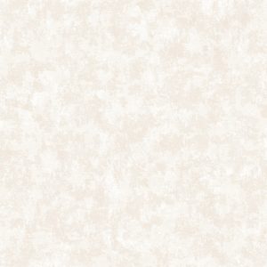 WPR CANVAS 81377-1 HAL 24