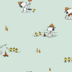 WPR PEANUTS 83208-3 HAL 76