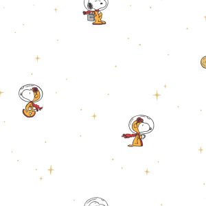 WPR PEANUTS 83213-1 HAL 45