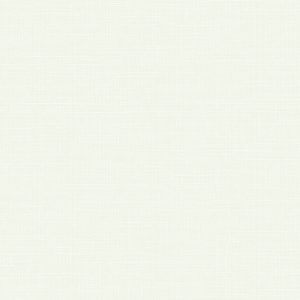 WPR CARNIVAL 81335-1 HAL 26