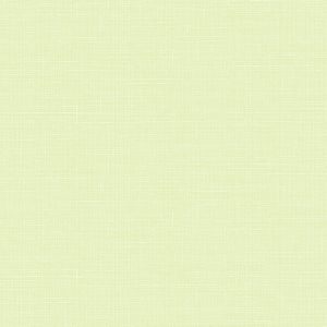 WPR CARNIVAL 81335-5 HAL 22