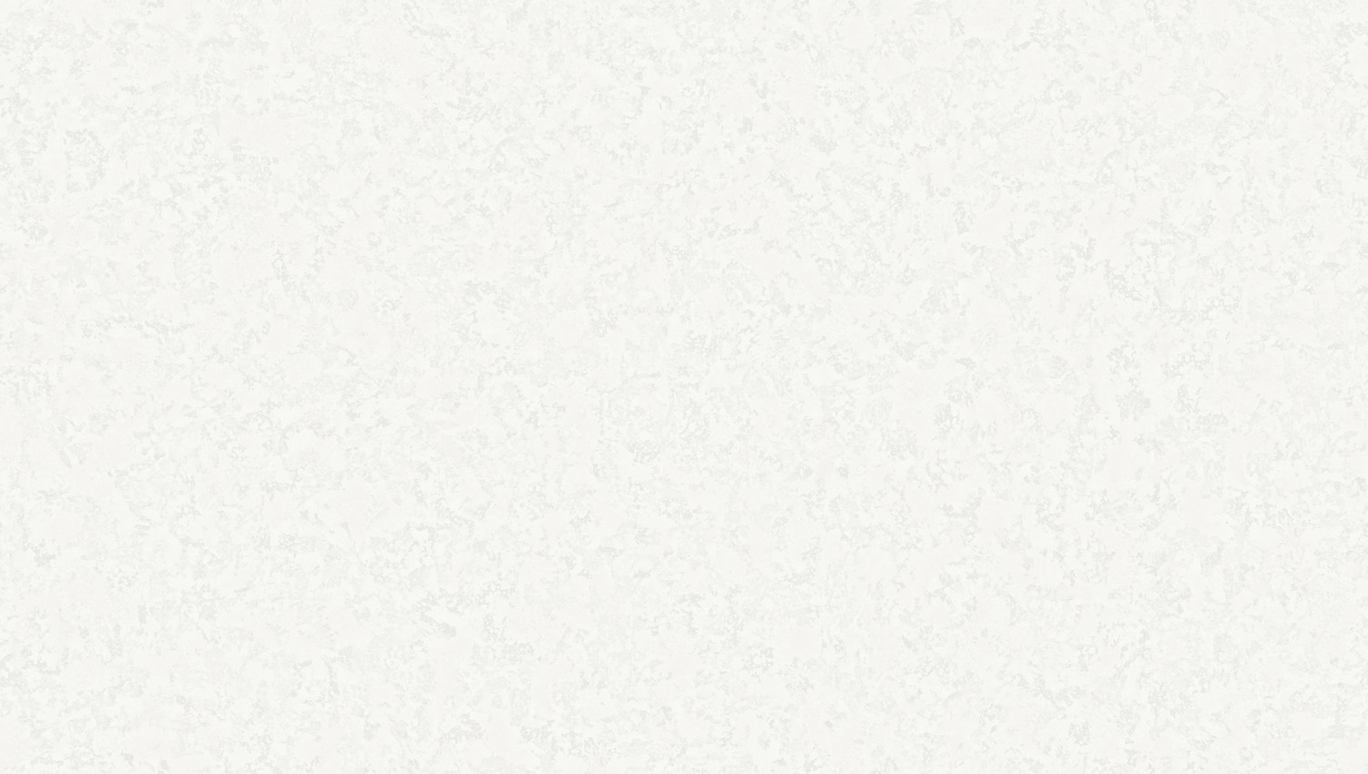 WPR FESTA 81342-1 HAL 48