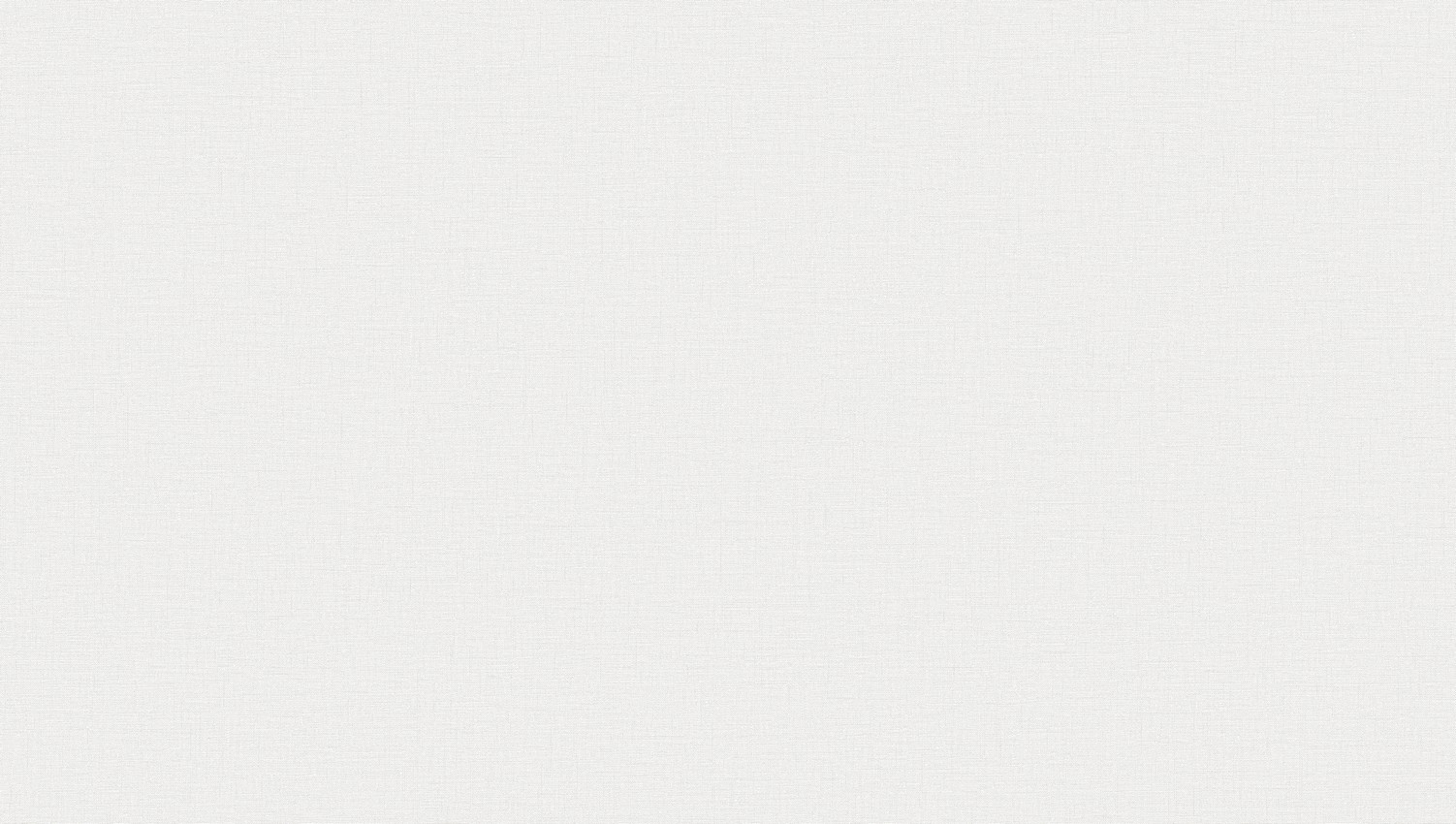 WPR FESTA 81344-1 HAL 38